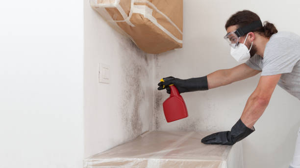 Professional Bathroom Mold Removal technician working in Salem, NC