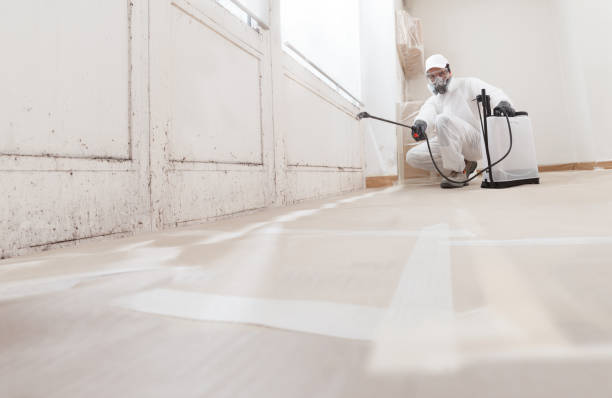 24/7 Emergency Bathroom Mold Removal experts in Salem, NC